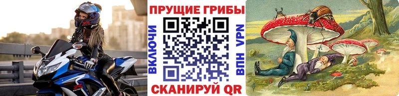 Галлюциногенные грибы прущие грибы blacksprut сайт Ленск